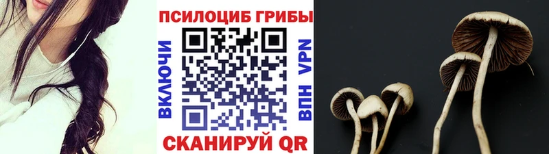 Псилоцибиновые грибы мицелий  закладка  Лянтор 